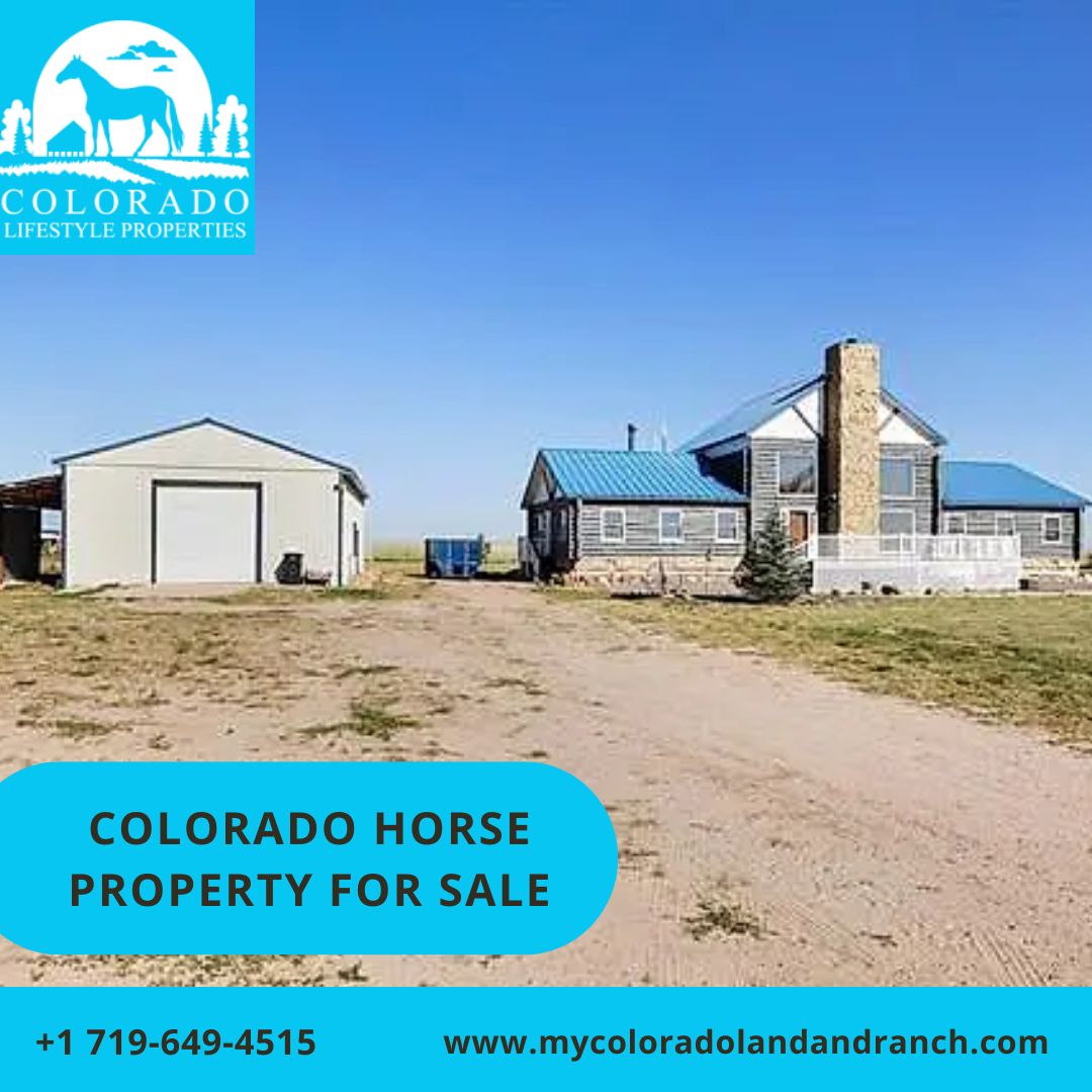 Colorado Horse Properties Helps in Maintaining Your Horses Properly