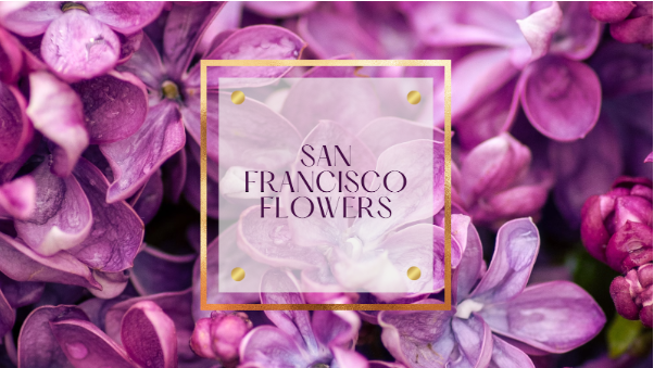 Floral Splendor Unveiled: Navigating San Francisco’s Blossoming Scene